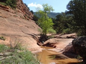 Hiking up the Munds Wagon trail