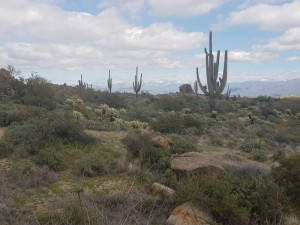 Views from the Marcus Landslide trail