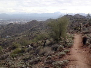 Views of the Fountain Hills Fountain