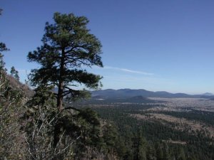 On the Elden lookout trail