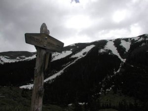 Views from the Bear Jaw trail