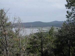 Views from Mormon Mountain of Mormon lake