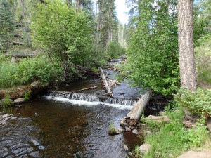 Little Colorado - Government Springs trail