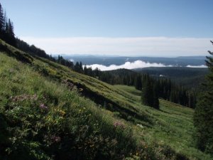 Mount Washburn - Yellowstone national park