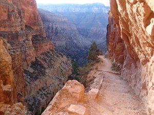 Views from the North Kaibab trail