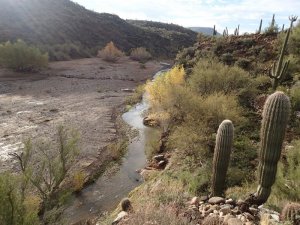 Little pan loop trail