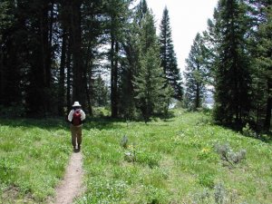 hiking Hermitage point in the Grand Teton national park