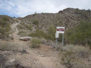 Shadow mountain trails