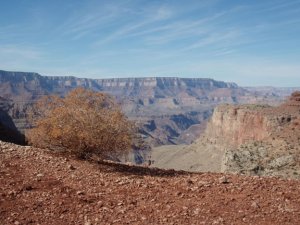 along the Tanner trail