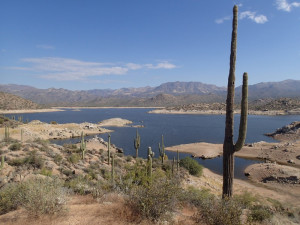 Hiking along the Jojoba trail