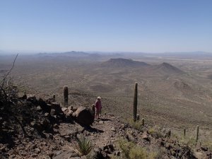 hiker on Tabletop mountain trail