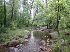 Christopher Creek along the See Canyon trail