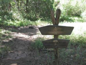 along the trail to dorsey spring