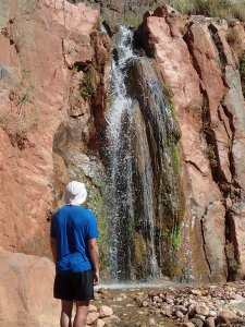 Admiring Stone Creek in the Grand Canyon