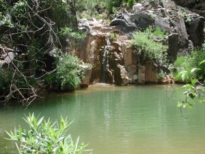 The Waterfall at Gordon Creek