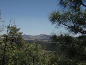 Land of the Pioneers trail