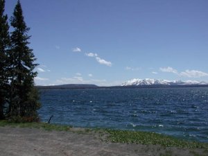 Shoshone lake - Yellowstone national park