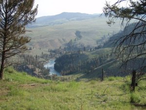 Black canyon of the Yellowstone