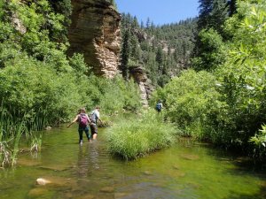 Trying to keep balanced while wading West Clear creek