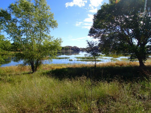 Hiking around Willow Creek Lake