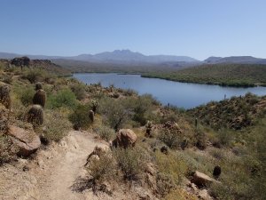 Saguaro lake