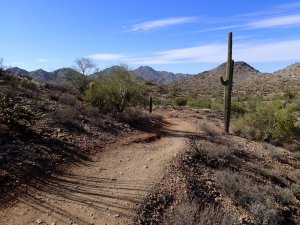 San Tan Regional park - Goldmine trail