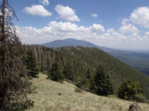 Kendrick mountain (via the Pumpkin trail)