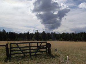 Ominous clouds along the Juniper Ridge trail