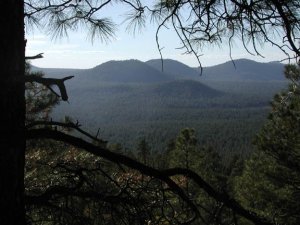 View from Davenport hill