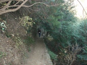 Hiking along Mount Takao