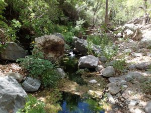 Haunted Canyon trail (Tony Ranch)