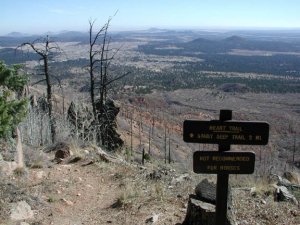 Views from the heart trail