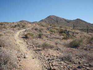 Trail to Daisy mountain