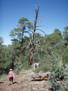Hikers on the Timber mesa trail
