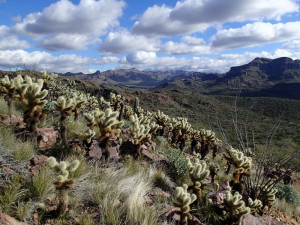 Views from the trail in the Peralta Regional Park