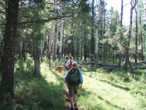 Hikers on the Los Burros trail