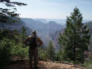 Hiker enjoying the views from the Widforss trail