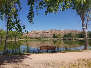 Views along the Verde River from the Greenway Trail