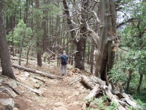 Hiking along the Donahue trail