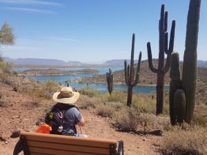 Lake Pleasant as seen from the Yavapai Lookout trail