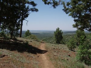 Panorama trail