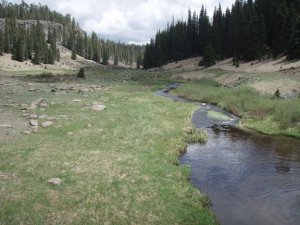 West fork of the Black river