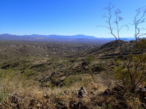 Views from the Promenade trail