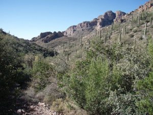 Millsite canyon