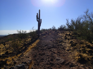 Hiking in the Thunderbird Conservation Park