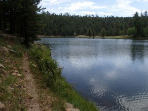 Along the Bear Canyon Lake trail