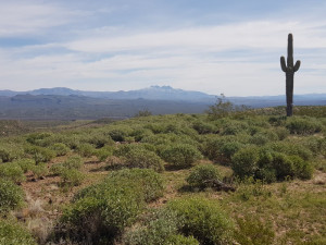 views from the scenic loop hike