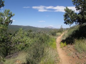 Hiking along the Salida view trail