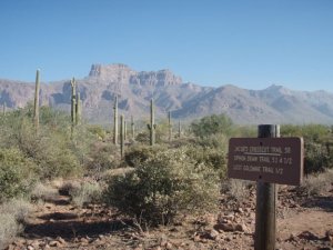 Views from the Jacob&#039;s Crosscut trail