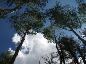 The sky on the Sunset trail